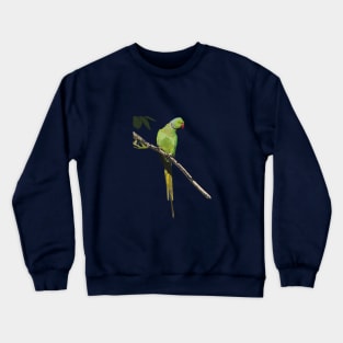 Rose-ringed or ring-necked parakeet Crewneck Sweatshirt